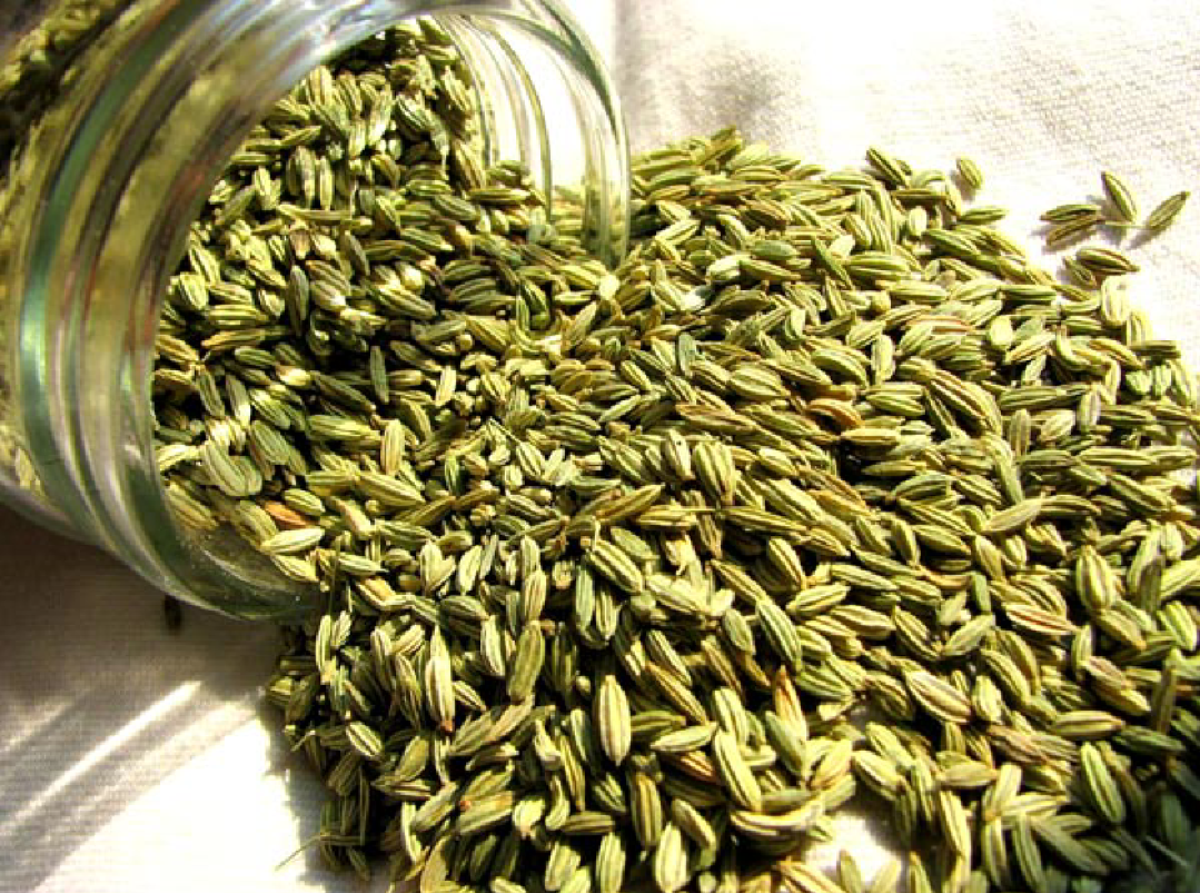 Saunf / Fennel Seeds 100G 100% ORGANIC & Pure